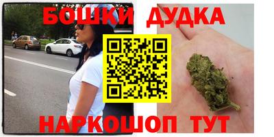 гидропоника Будённовск